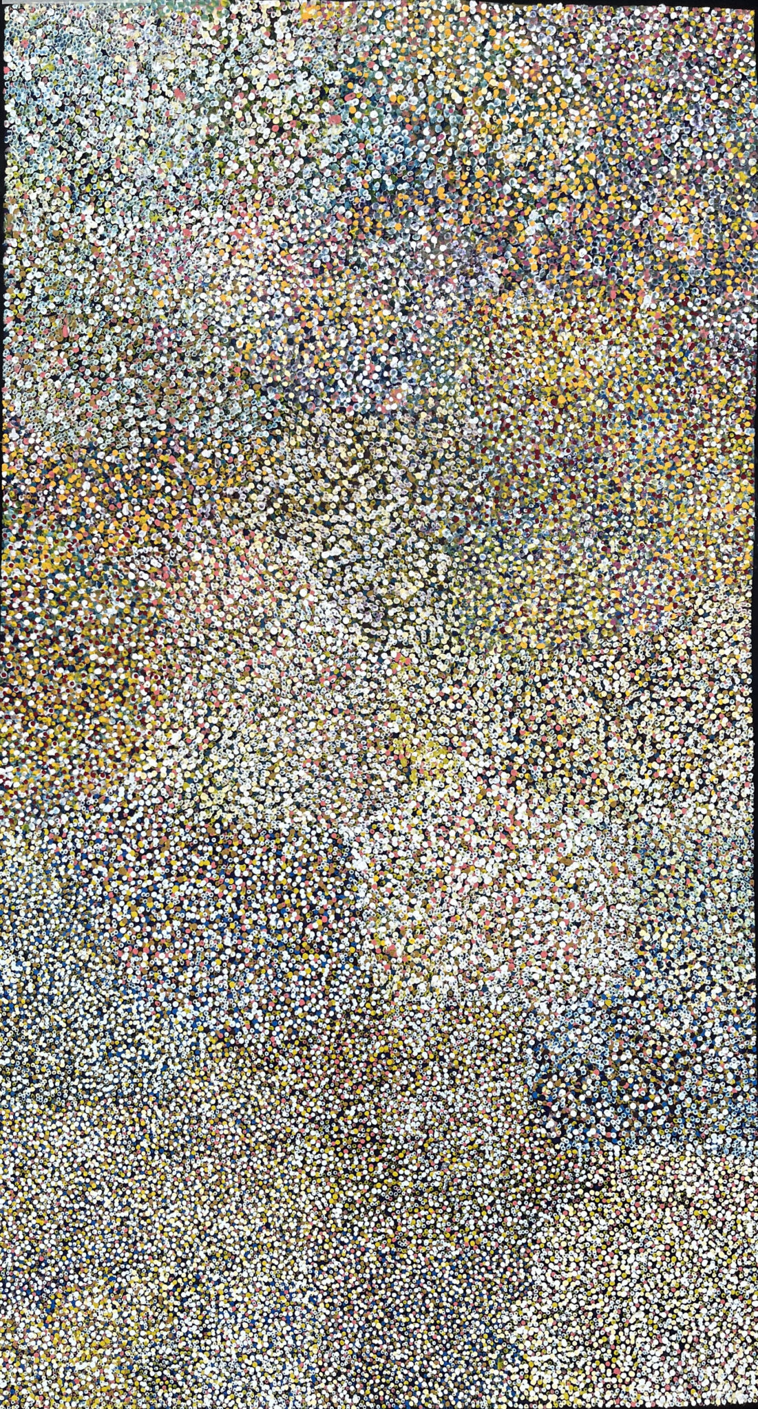 Bessie Petyarre - Dzika Śliwka / Bush Plum