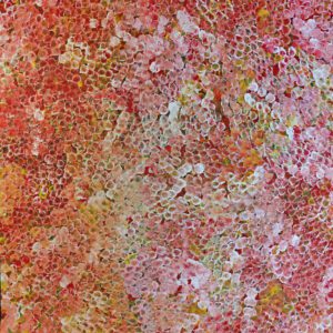 Bessie Petyarre - Dzika Śliwka / Bush Plum