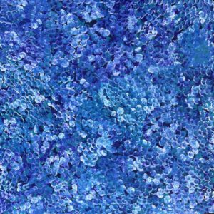 Kate Petyarre - Historia dzikiej śliwki /Bush Plum