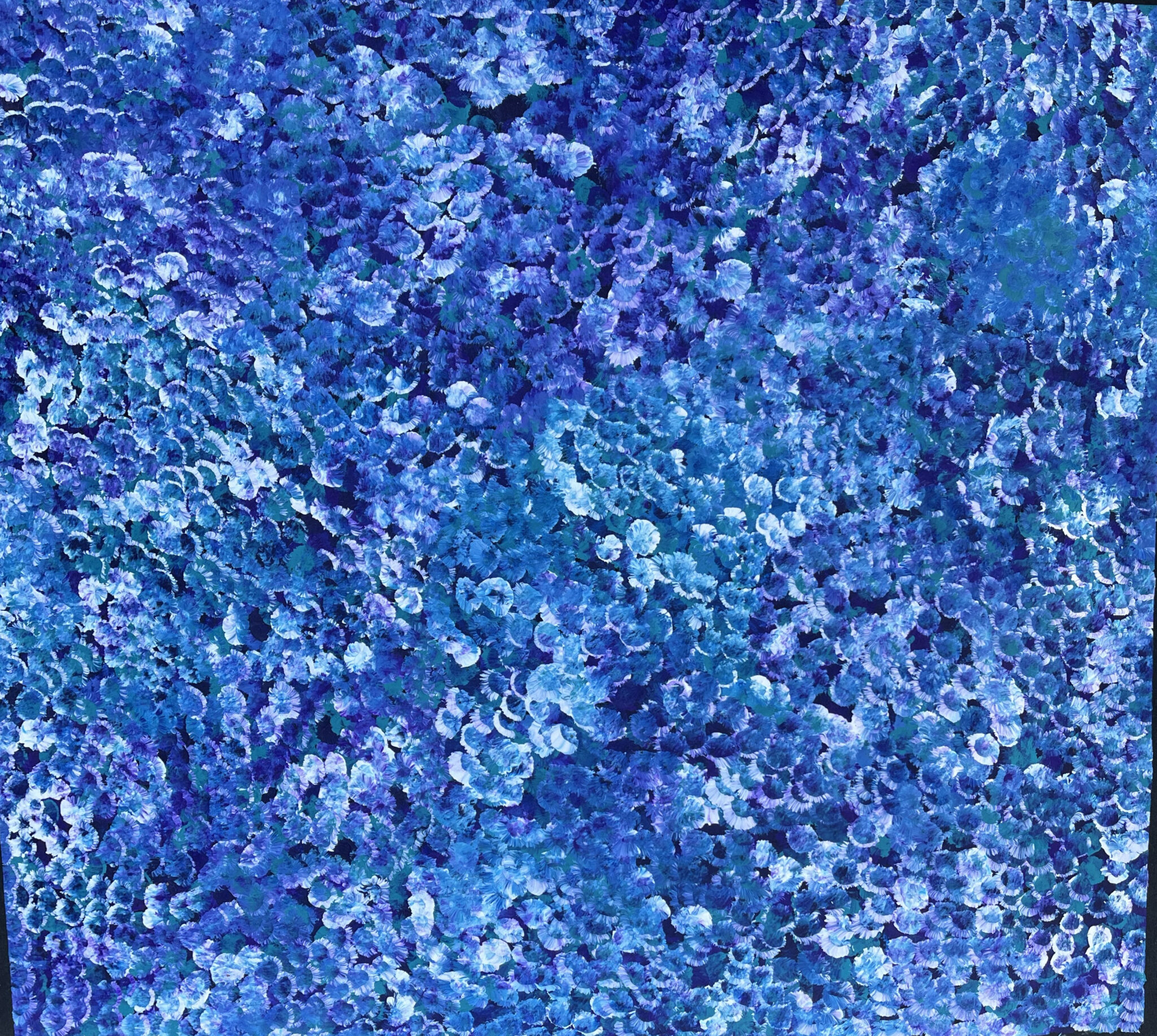 Kate Petyarre - Historia dzikiej śliwki /Bush Plum