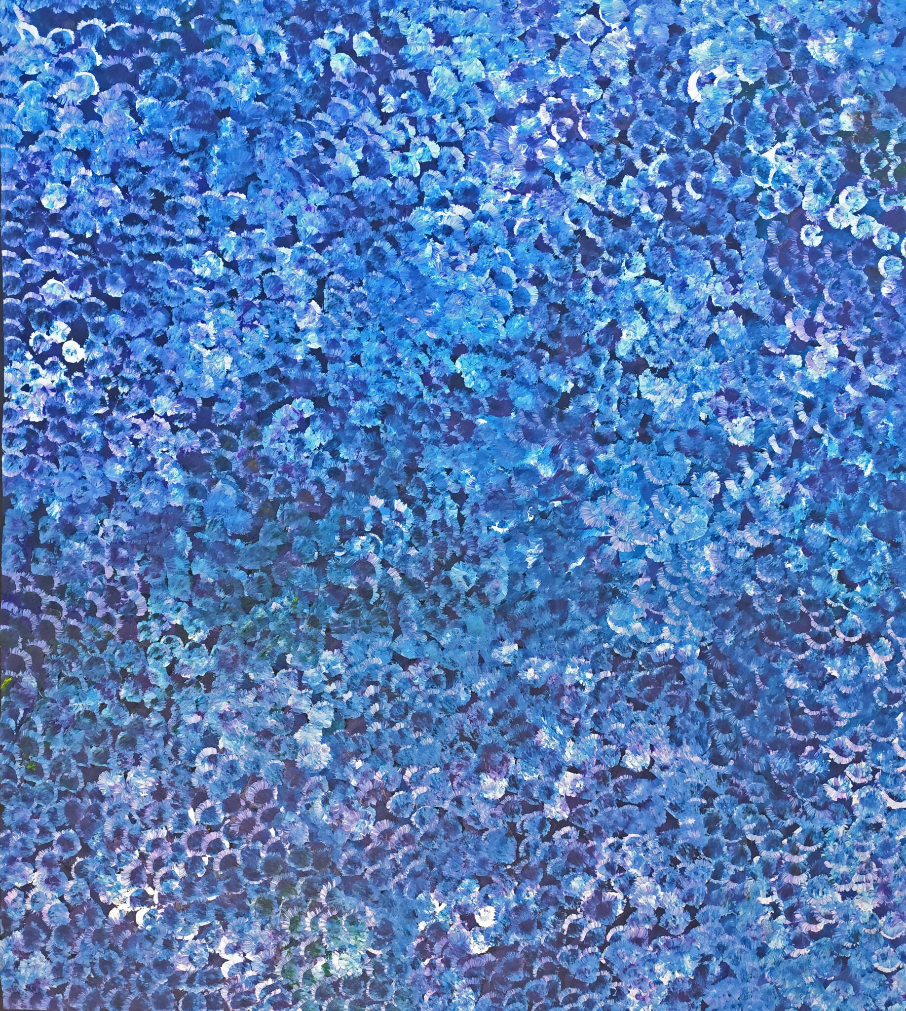 Kate Petyarre – Historia dzikiej śliwki /Bush Plum