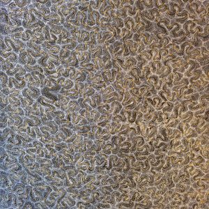 Marshall Robertson Jangala - Dzikie Nasiona Ngulu /Bush Seeds - Ngulu