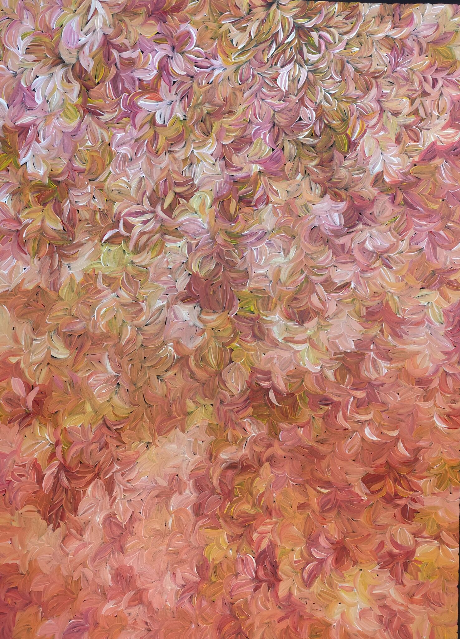 Margaret Scobie - Bush Medicine Leaves – Leczące liście