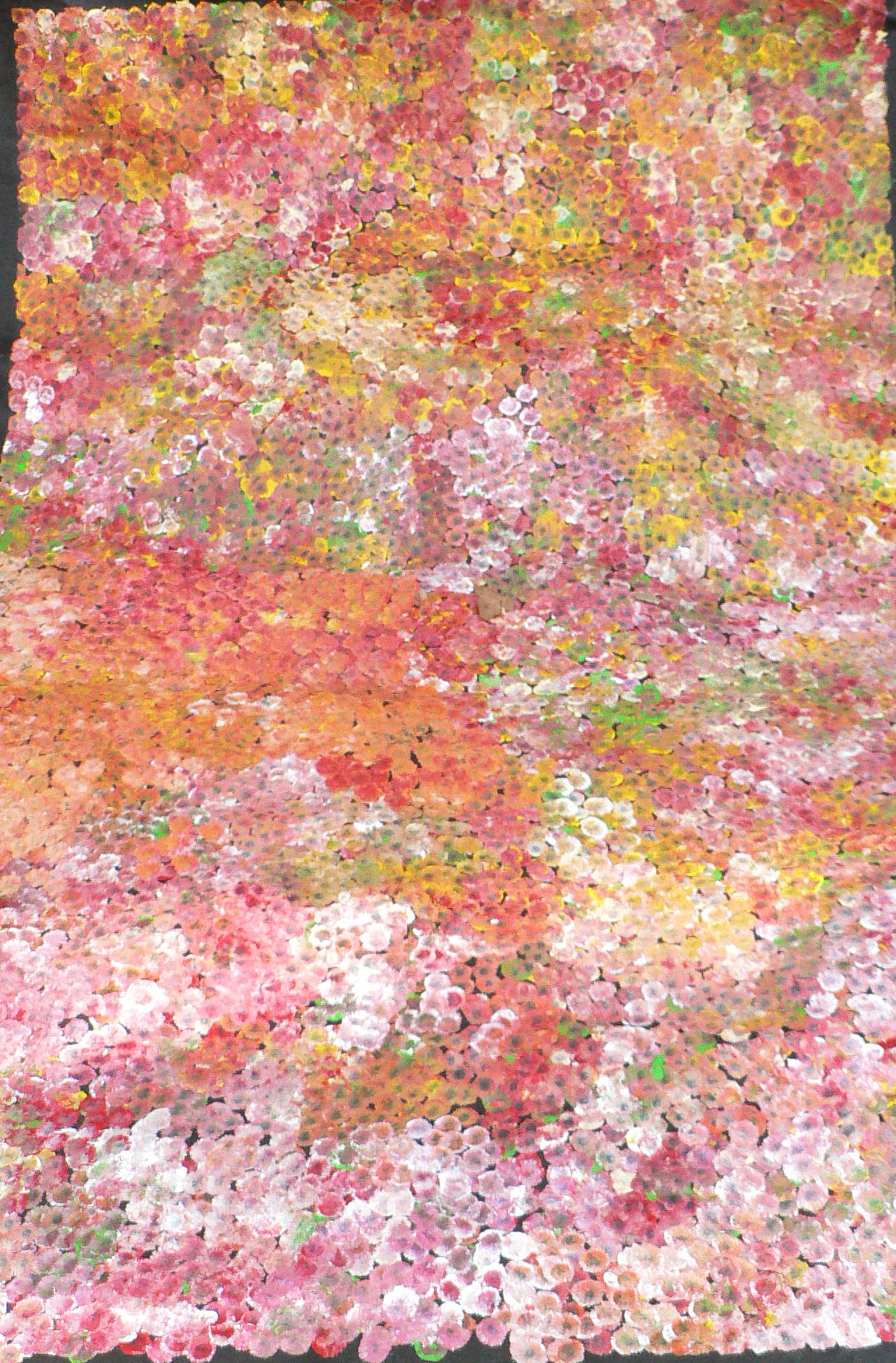 Polly Kngale - Dzika Śliwka / Bush Plum