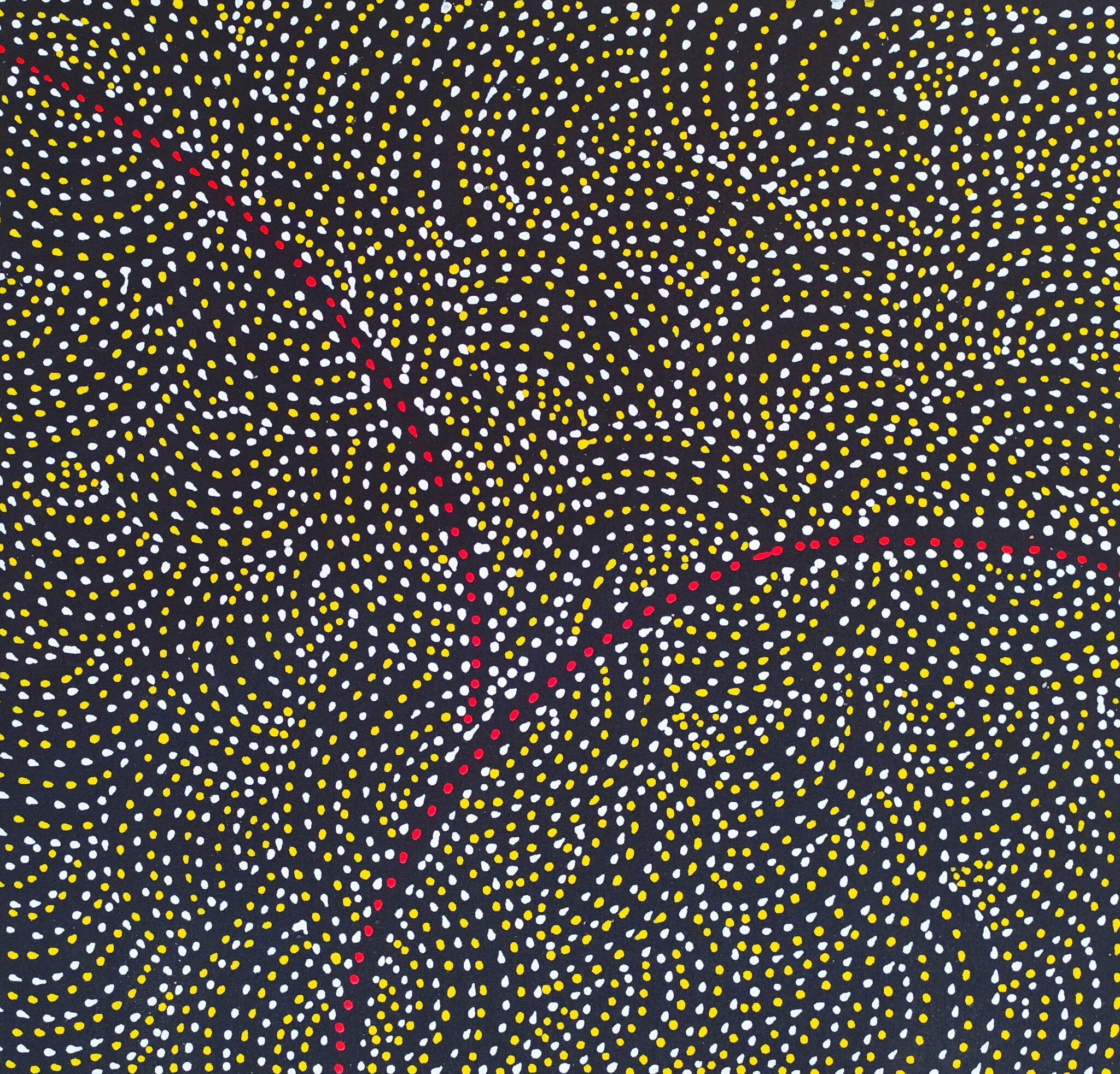 Roseanne Morton - Dzika Śliwka/ Bush Plum