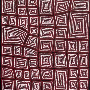 Thomas Tjapaltjarri - Cykl Tingari / Tingari Cycle