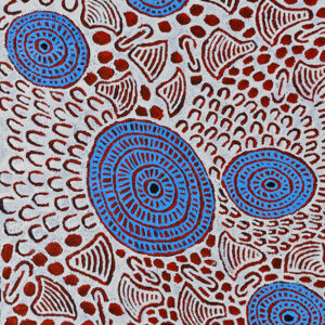 Glenys Gibson Napaltjarri – Zbiory plonów / Bush Tucker