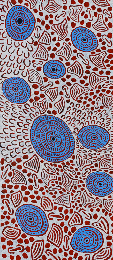 Glenys Gibson Napaltjarri – Zbiory plonów / Bush Tucker
